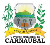 Brasão da seguinte cidade: Carnaubal
