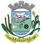 Brasão da cidade Araguapaz