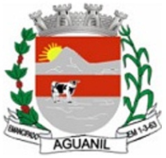 Brasão da cidade Aguanil