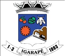 Brasão da cidade Igarapé