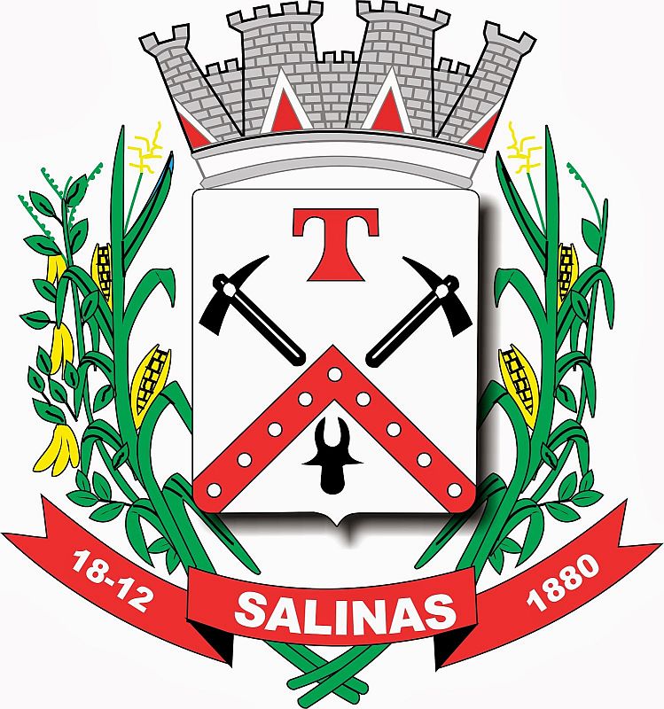 Brasão da cidade Salinas