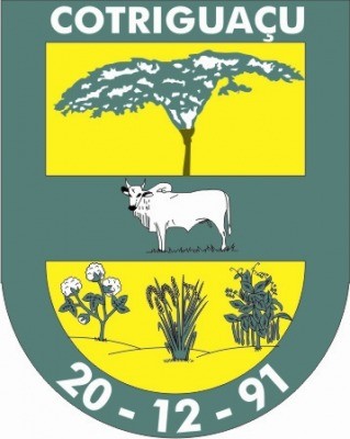 Brasão da cidade Cotriguaçu