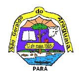 Brasão da cidade São Geraldo do Araguaia