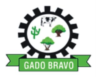 Brasão da cidade Gado Bravo