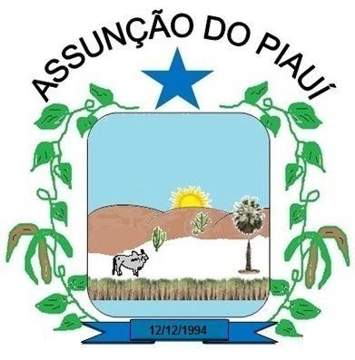 Brasão da cidade Assunção do Piauí