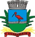 Brasão da cidade Guaramirim