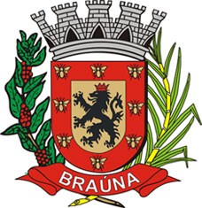 Brasão da cidade Braúna