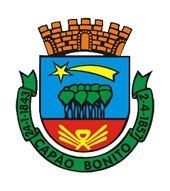 Brasão da cidade Capão Bonito