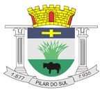 Brasão da cidade Pilar do Sul
